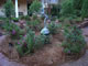 Landscaping (1 of 2)